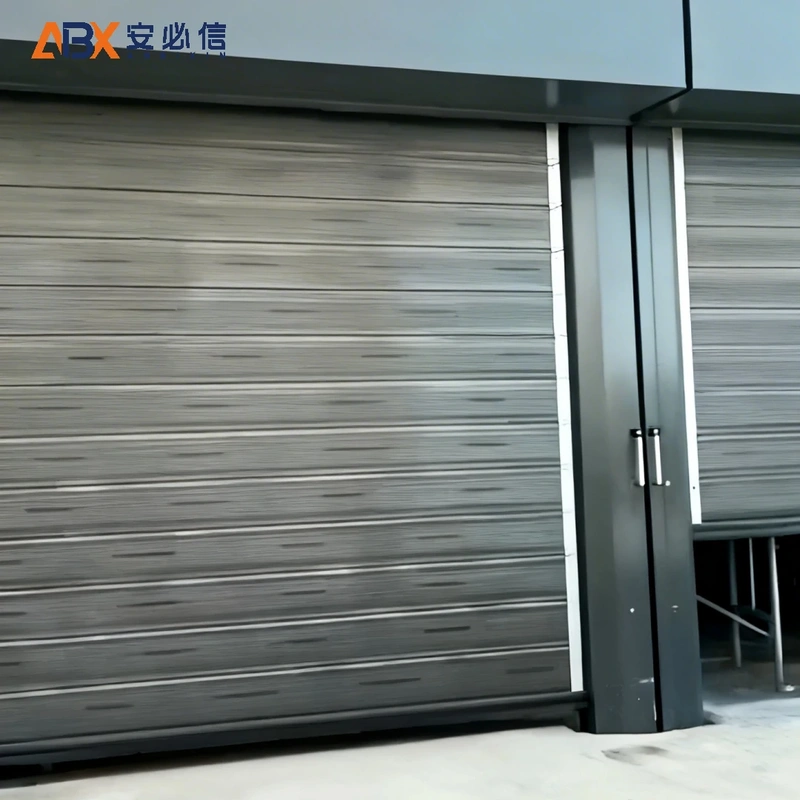 丽水市消防高速门